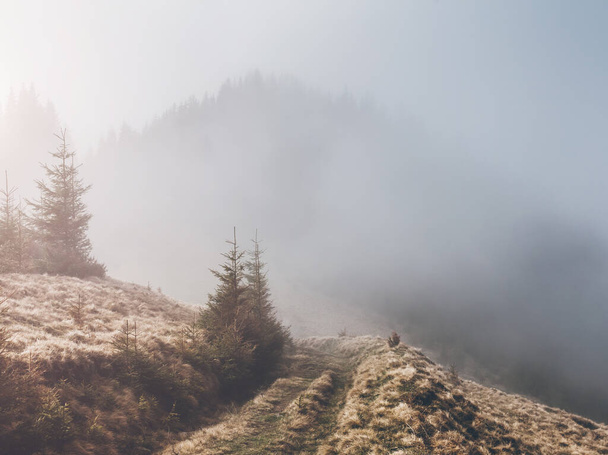 Nagyszerű kilátás nyílik az alpesi völgyre, amely napfényben ragyog. Drámai és gyönyörű reggeli jelenet. Helyszín Kárpátok, Ukrajna, Európa. Vintage tonizáló hatás. Instagram szűrő. Szépségvilág - Fotó, kép
