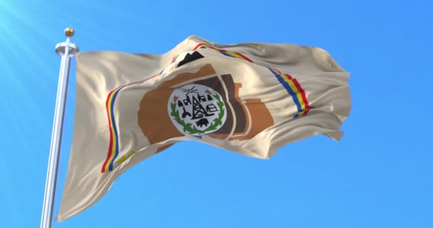 Σημαία του έθνους Ναβάχο. Βρόχος - Πλάνα, βίντεο