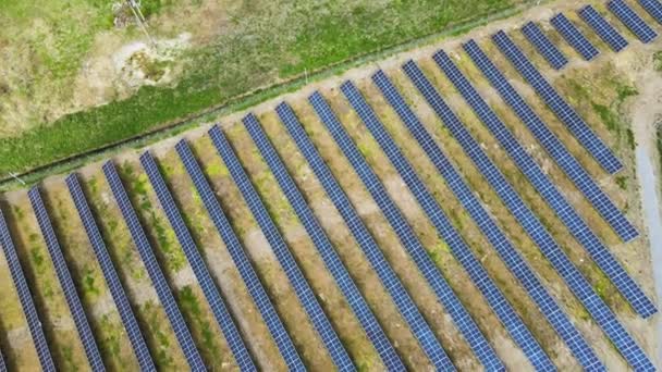 Veduta aerea della centrale solare su campo verde. Azienda agricola elettrica con pannelli per la produzione di energia ecologica pulita - Filmati, video