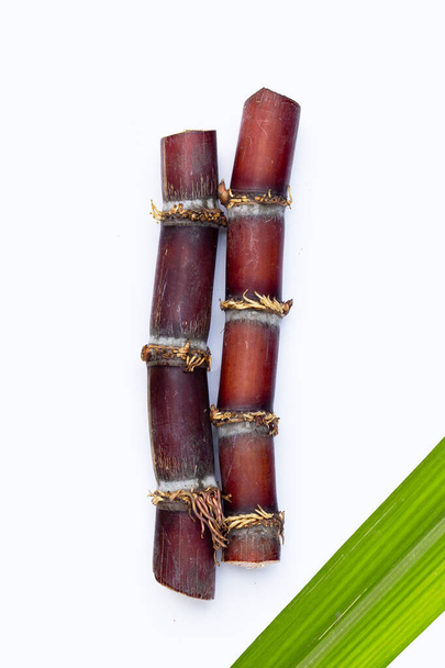 Sugar cane on white background. - Photo, Image