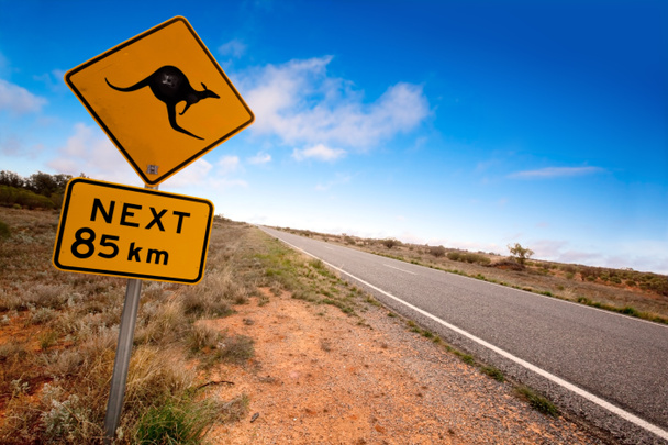 Outback-Känguru-Schild - Foto, Bild
