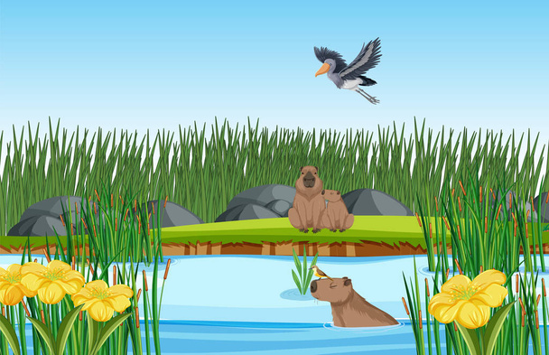 Capibara che vive nella natura stagno illustrazione - Vettoriali, immagini