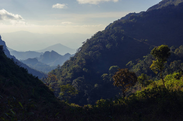 The view on the way up to土井ルアンパバーン,チェンマイ,タイ. - 写真・画像