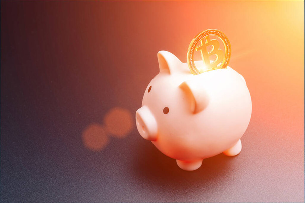 Oszczędność portfela Bitcoin. Różowy bank świń ze złotymi monetami BTC na ciemnym tle. Oszczędzanie pieniędzy kryptowaluta i bank koncepcji finansowej - Zdjęcie, obraz