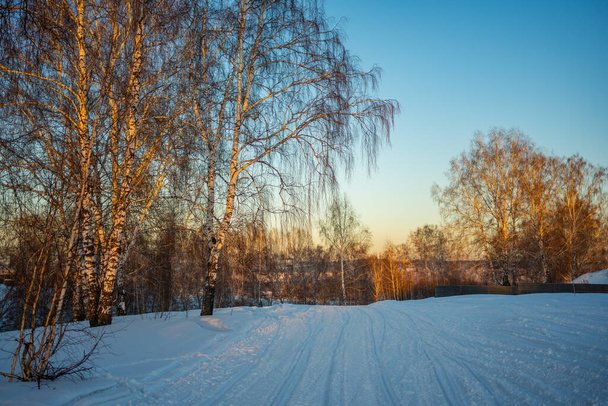 Talvi oranssi auringonlasku metsässä lähellä Kemerovo, Siperia, Venäjä - Valokuva, kuva
