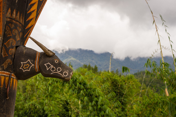 Symbol v Tana Toraja - Fotografie, Obrázek