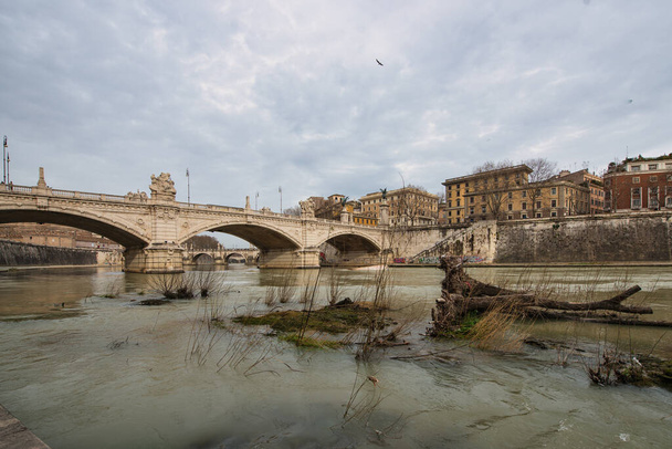 ローマのティバー川の壊れた植物 - 写真・画像