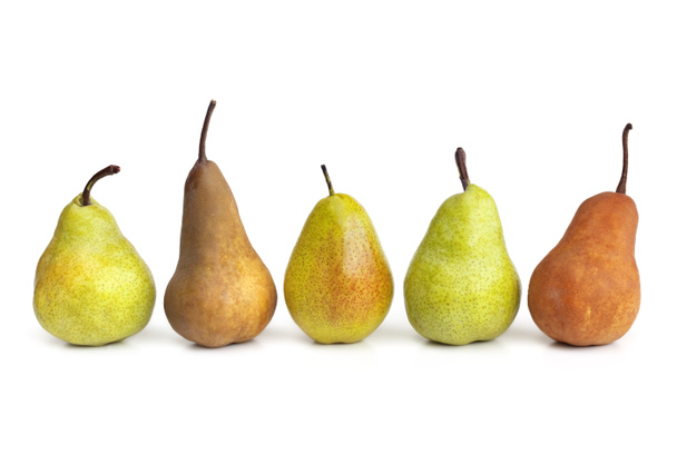Pears in a Row - Photo, Image