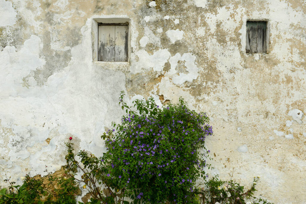 Vista en una pared de una casa en Vejer de la Frontera en España - Foto, Imagen