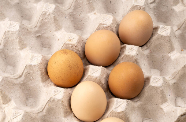 Коричневые куриные яйца в подносе для яиц. Органическое яйцо для здорового белкового завтрака. Пасхальный символ. Сырые куриные яйца. - Фото, изображение