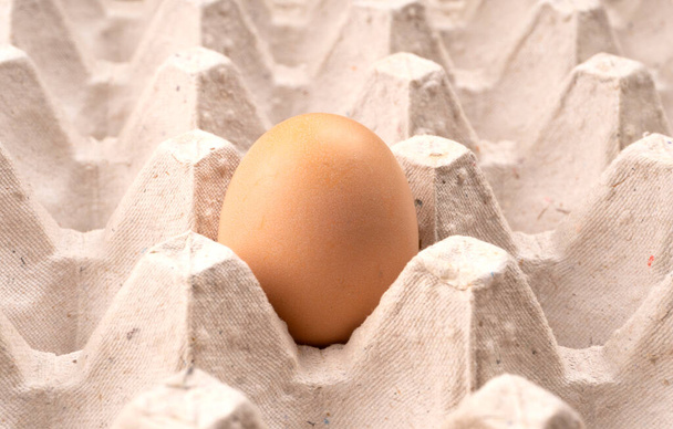 Jedno hnědé vejce v balení zblízka. Osamělé kuřecí vejce v podnose - Fotografie, Obrázek