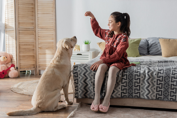 full length view of cheerful girl playing with labrador while sitting on bed - Photo, Image