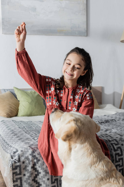 vrolijk meisje spelen met labrador terwijl zitten op bed thuis - Foto, afbeelding