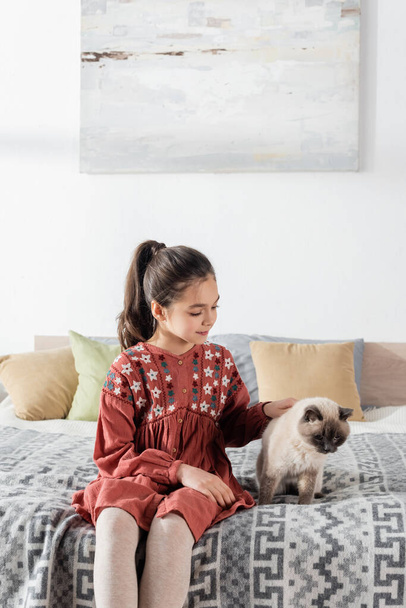 χαμογελαστό κορίτσι κάθεται στο κρεβάτι με μαξιλάρια και χάιδεμα γούνινη γάτα - Φωτογραφία, εικόνα