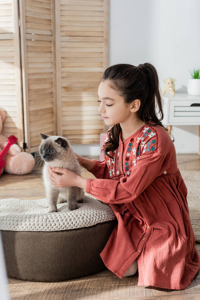 brunette tyttö poninhäntä silitti kissa istuu pouf kotona - Valokuva, kuva