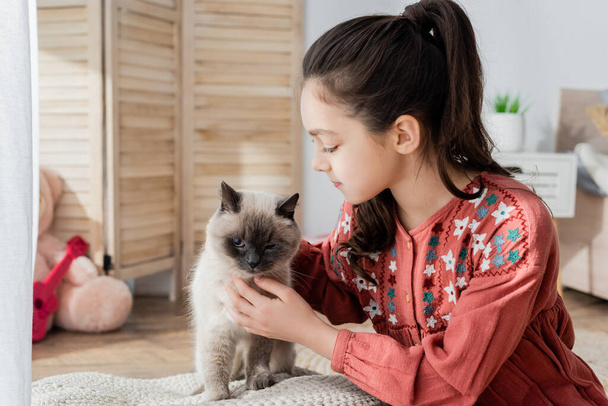 brunette girl with ponytail stroking cat at home - Foto, afbeelding
