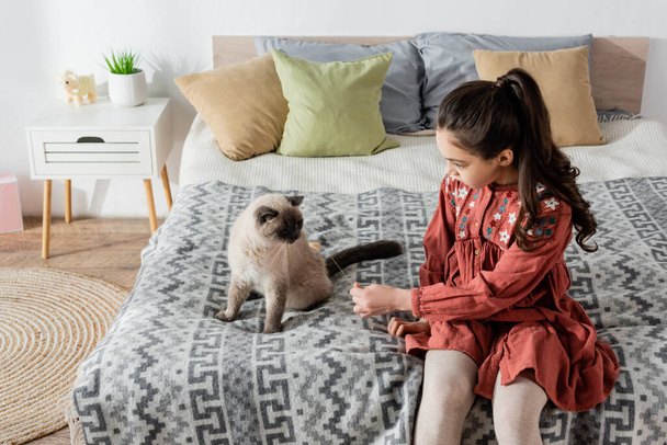 vista ad alto angolo di ragazza con spikelet giocare con gatto sul letto - Foto, immagini