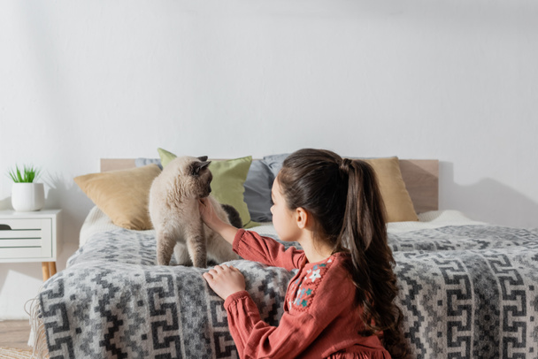 preteen girl with ponytail petting cat sitting on bed with pillows - Foto, imagen