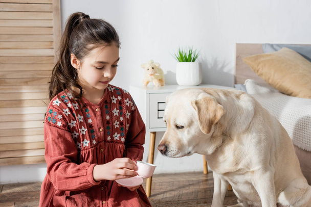 labrador dog smelling toy cup in hands of preteen girl playing at home - Fotó, kép