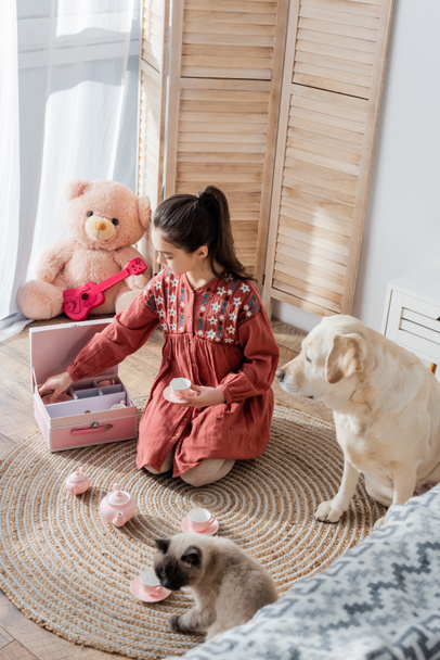 высокий угол зрения девушки с хвостиком играя с игрушечным чайным сервизом возле лабрадора собака и кошка - Фото, изображение