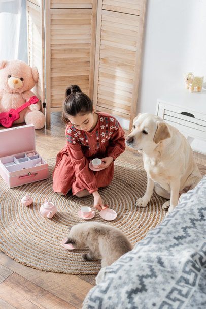 high angle view of dog and cat sitting on floor near girl playing with toy tea set - Фото, изображение
