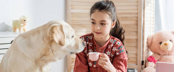 yellow labrador near girl holding toy cup, banner - Photo, Image