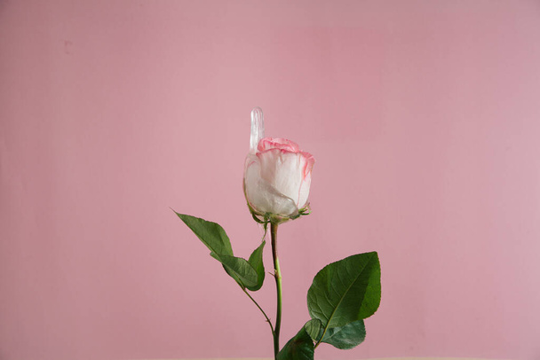 Concept of rose with transparent slime  - Foto, Bild