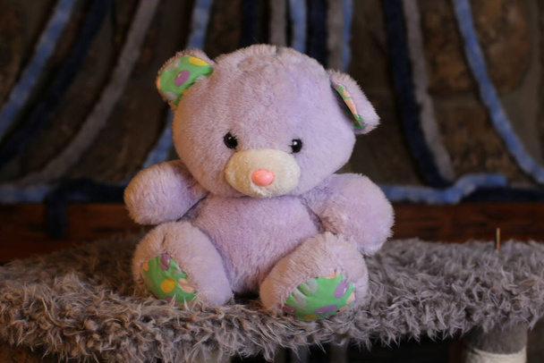 lähikuva vaaleanpunainen nallekarhu pehmeä lelu - Valokuva, kuva
