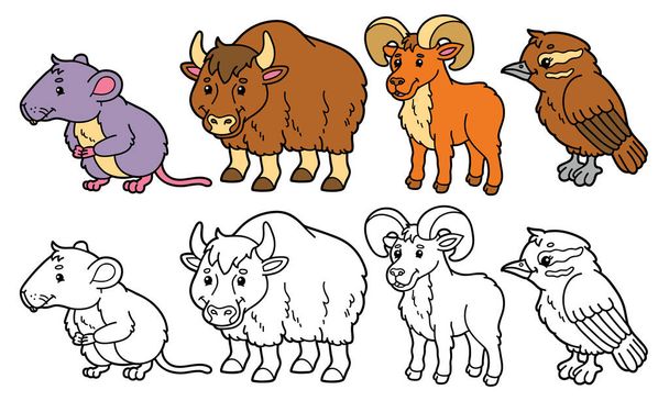 vektor illusztráció készlet rajzfilm vadon élő állatok és változatok kifestőkönyv - Vektor, kép