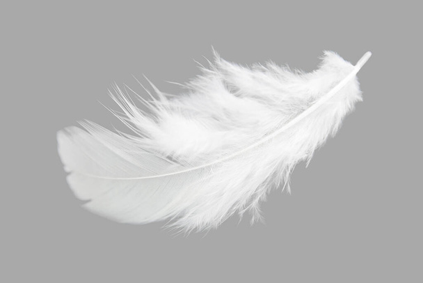 White Bird Feather Isolated on Black Background. - Photo, Image