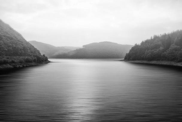 Paisaje blanco y negro de lago brumoso rodeado de árboles
 - Foto, imagen