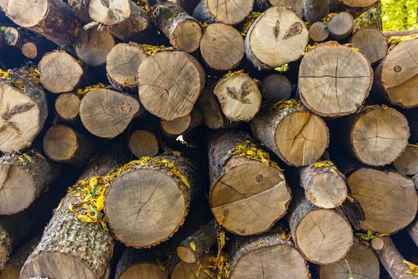 Katlanmış odun. Isıtma için odun. Kırsal yaşam. - Fotoğraf, Görsel