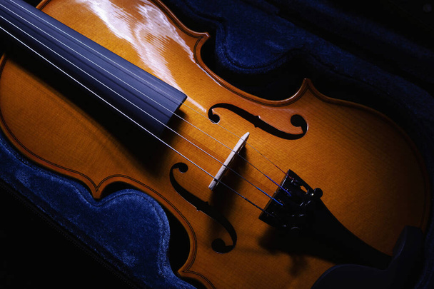 Closeup view on small violin, one half size, view on details.  - Foto, afbeelding