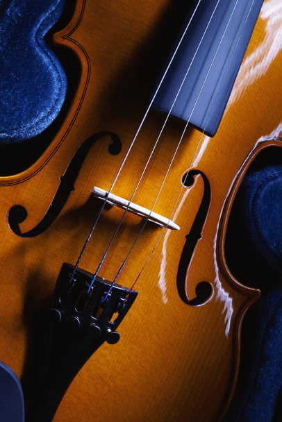 Closeup view on small violin, one half size, view on details.  - Foto, imagen