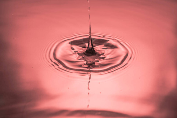 Close up view of falling drops on water surface isolated on red background. - Photo, image