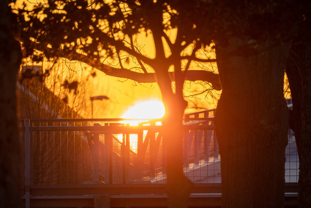 Közel a híd és a fák ellen a meleg narancssárga ég, mint a nap lenyugszik - Fotó, kép