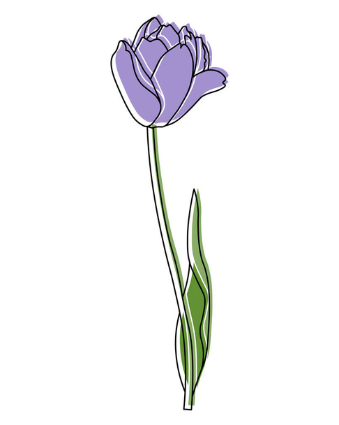 Illustrazione di un fiore di tulipano azzurro tirato. Arte murale, poster, cartolina, invito - Vettoriali, immagini