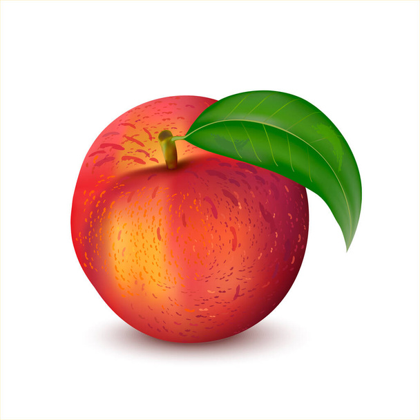 3d Realistinen Tuore makea persikka vihreällä lehdellä eristetty valkoisella taustalla. Kuva kypsästä persikasta pakkausten, bannereiden, web-suunnittelun tai kuvioiden luomiseen. - Vektori, kuva