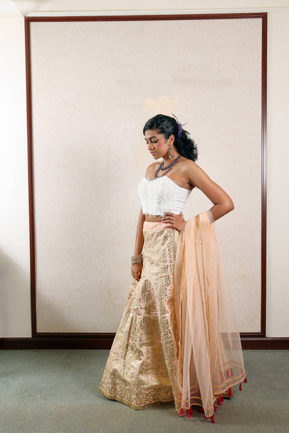 Belle jeune femme portant moderne indien lehenga hgagra cheville longueur jupe robe posant maison vintage rétro - Photo, image