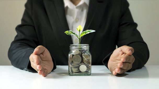 Een boom groeiend op een geldfles in de hand van een zakenman, persoonlijk finance management concept. - Foto, afbeelding