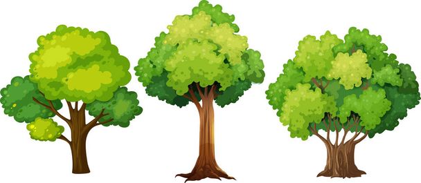 Σύνολο διαφορετικών εικονογραφήσεων δέντρου - Διάνυσμα, εικόνα