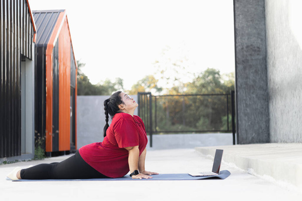 Lihava nainen käyttää sosiaalisessa mediassa onnellisesti kotona - Valokuva, kuva