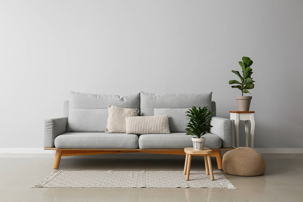 Interiér moderního obývacího pokoje se stylovou pohovkou a pokojovými rostlinami - Fotografie, Obrázek