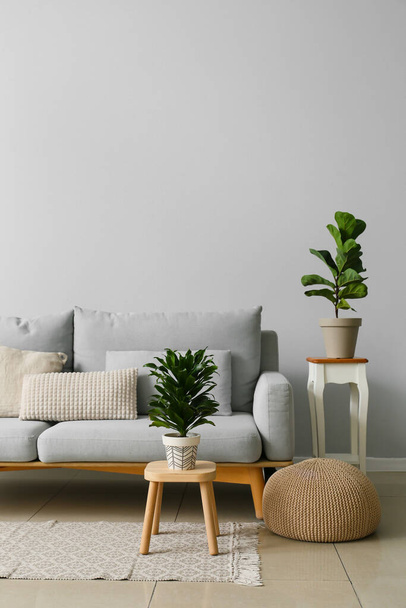 Interior of modern living room with stylish sofa and houseplants - Foto, Imagen