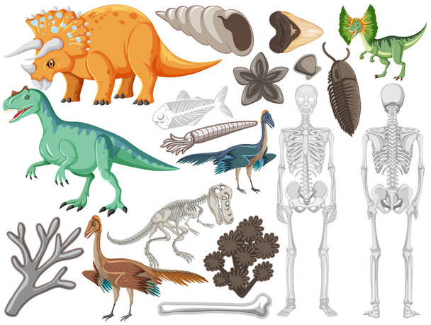 Set of different prehistoric dinosaur animal illustration - Vector, Image
