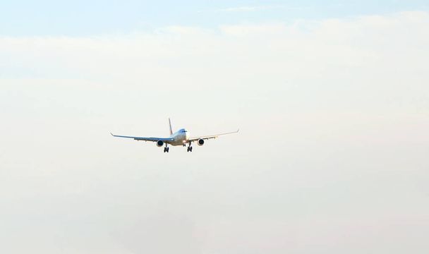 Пассажирский самолет над лесом в голубом небе, солнце светит. - Фото, изображение