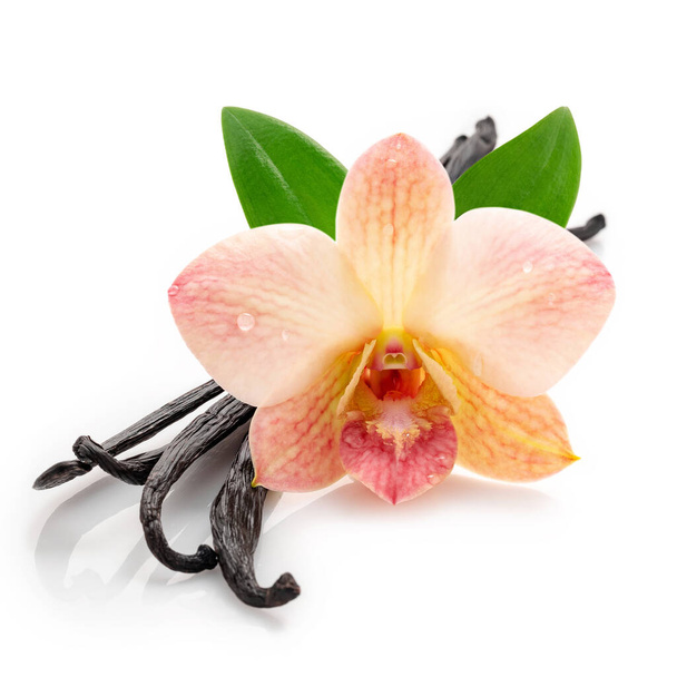 Bâtonnets de vanille séchés et fleur d'orchidée isolés sur fond blanc. - Photo, image