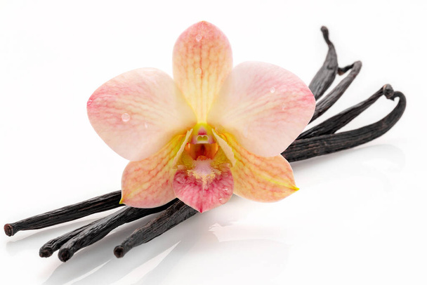 Сушені ванільні палички та квітка орхідеї ізольовані на білому тлі
. - Фото, зображення