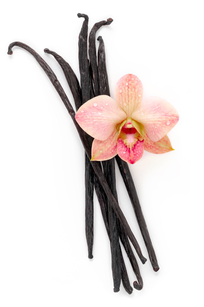 Сушеные ванильные палочки и цветок орхидеи на белом фоне. - Фото, изображение