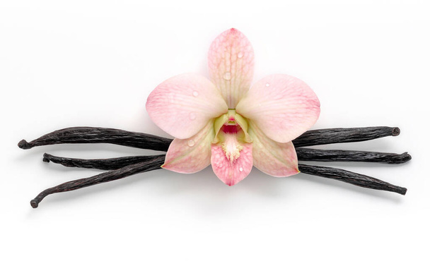 Kurutulmuş vanilya çubukları ve beyaz arka planda izole edilmiş orkide çiçeği.. - Fotoğraf, Görsel